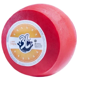 PATEGRAS 3 L pintado