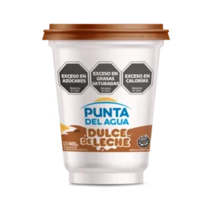 DULCE DE LECHE PUNTA DE AGUA x 400 grs